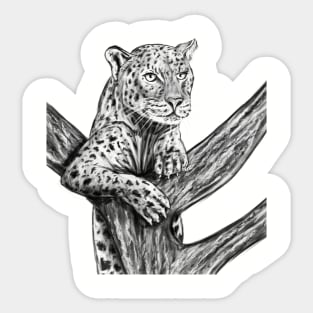 Leopard Sticker